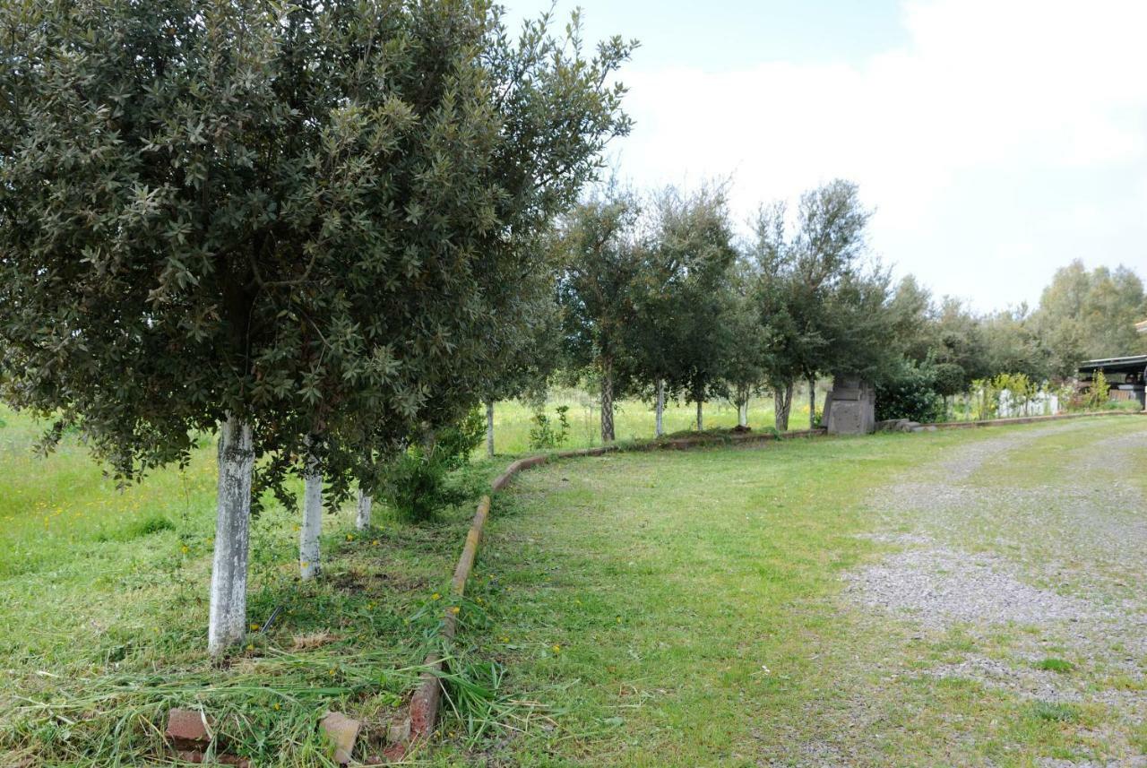 Apartamento Tra Mare E Monti Santa Giusta Exterior foto